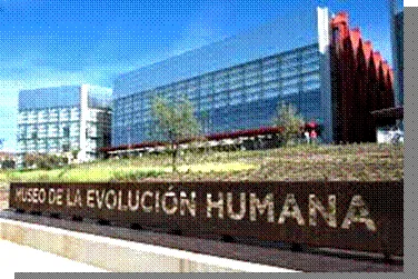 La evolución humana apta para todos los públicos