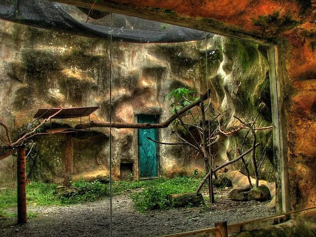 foto portada que es la cultur