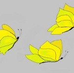 Un adiós de mariposas amarillas