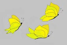 UN ADIOS DE MARIPOSAS AMARILLAS ILUSTRACION
