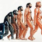 Teoría del simio acuático