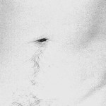 Arte y disidencia, crudeza y belleza: “Hermaphrodite Torso”