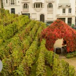 Postales de Paris – Las Vendimias de Montmartre