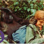 ¿Mujer antes que científica? Notas para analizar el retrato de Dian Fossey (I)