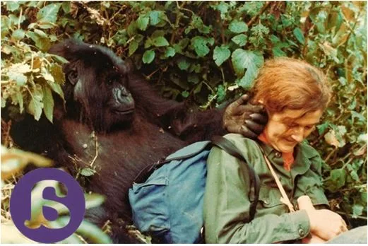 ¿Mujer antes que científica? Notas para analizar el retrato de Dian Fossey (I)