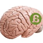 Plasticidad cerebral y género