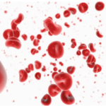 Los sistemas sanguíneos. Una visión evolutiva y clínica