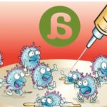 ¿Vacunación sí o no? Creencias y mitos sobre las vacunas