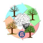Cambios cognitivos según la estación del año