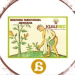 Medicina tradicional en México: pasado y presente