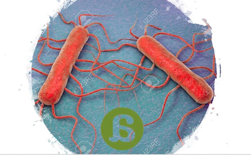 Listeriosis: una infección antigua en un mundo moderno