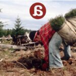 La silvicultura, mirando al pasado para salvar el futuro