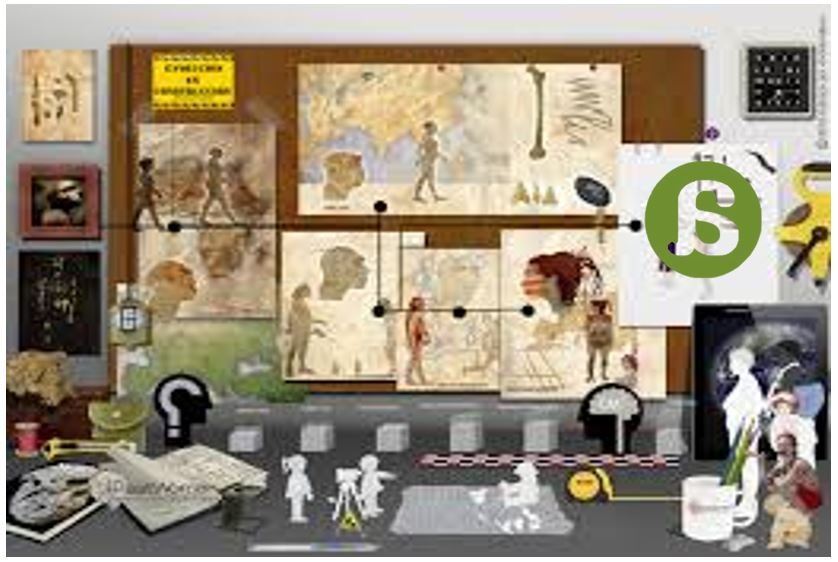 El parto humano