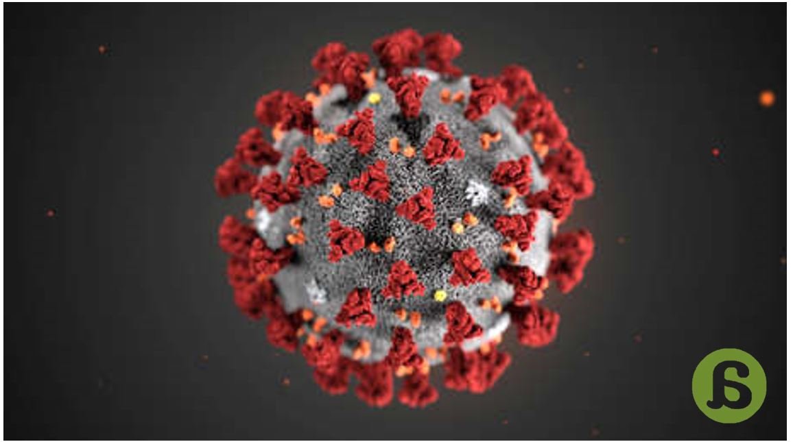 Coronavirus ¿nueva amenaza global?