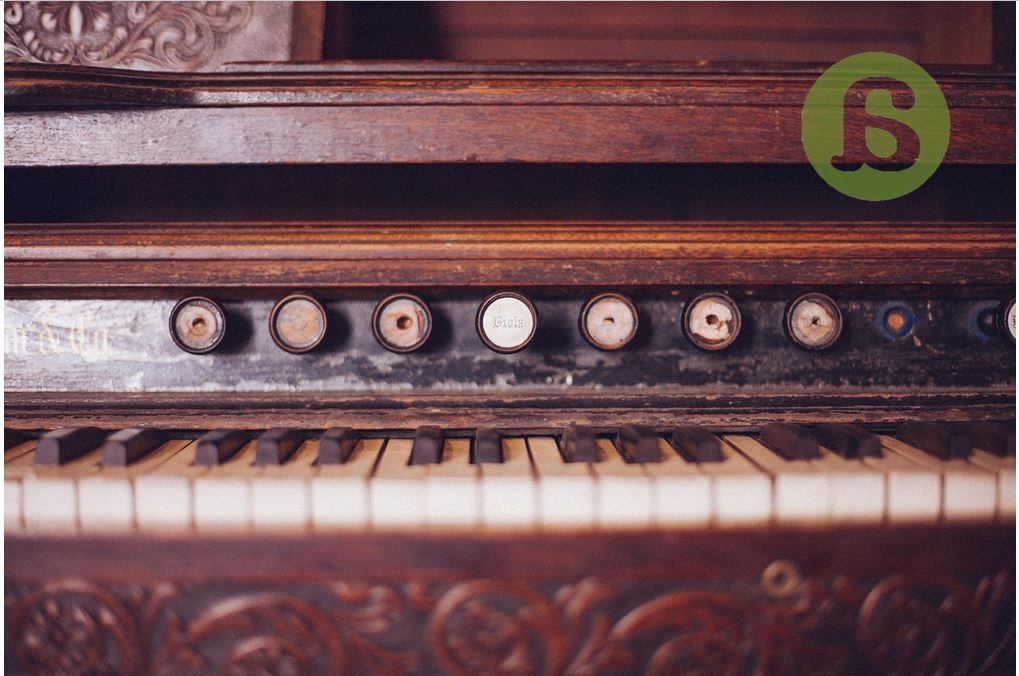 La cabeza de Mozart y la Sabana Santa