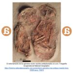 El ocre como elemento simbólico en la prehistoria