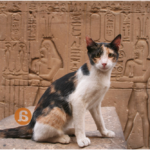 Como perros y gatos: las mascotas en el Antiguo Egipto