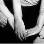 Shoah (Parte II)