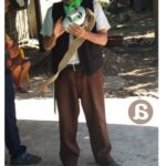 El espíritu de la danza