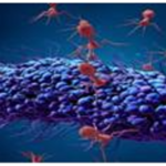 Virus: nuestros pequeños aliados