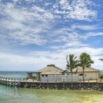 EL TERCER GÉNERO, LA PUERTA A LA NORMALIDAD.