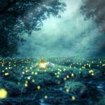 TOLKIEN EN LA SELVA. MITO Y VIDA.