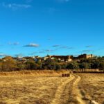 LAS OLVIDADAS DEL HOGAR Y LOS CUIDADOS.