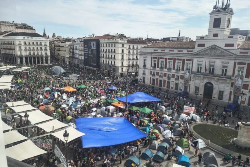 DE VUELTA A LAS PLAZAS